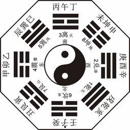 社会八卦最新爆料视频,最新爆料视频曝光惊人内幕
