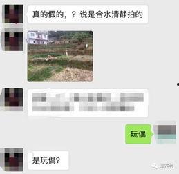 茂名真实爆料案件最新情况,真相渐明，疑云散去，正义终将到来